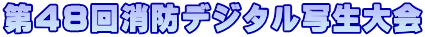 SWhfW^ʐ